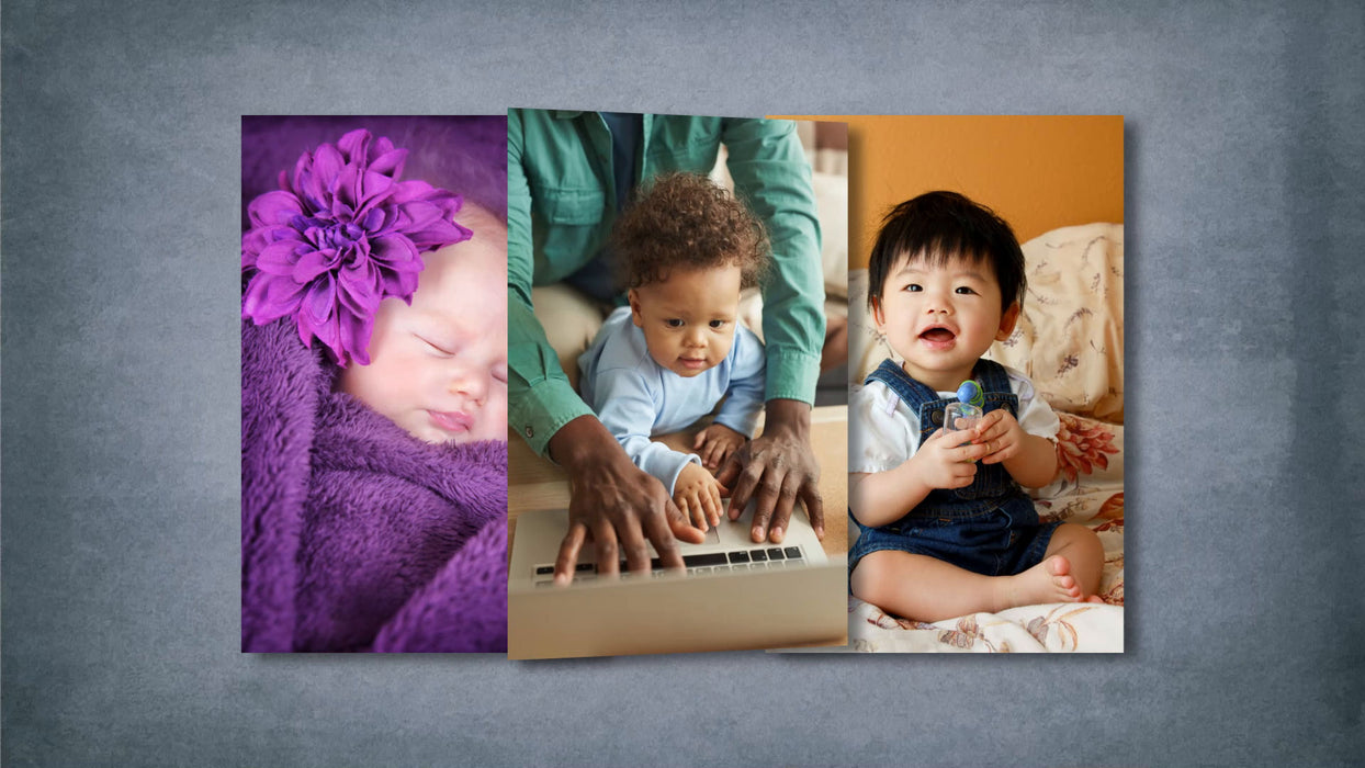 Six Portrait Swap Style for Photopia