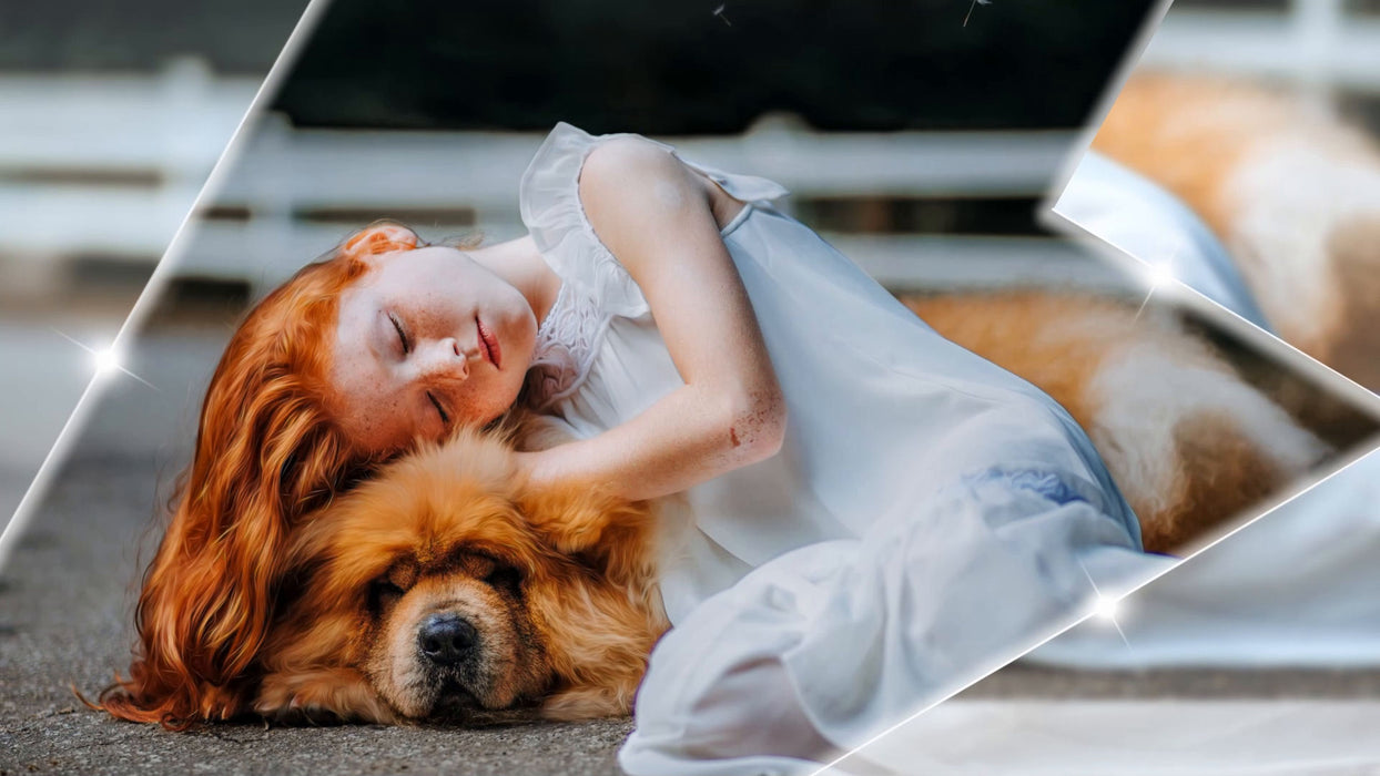 Star Lines for Photopia