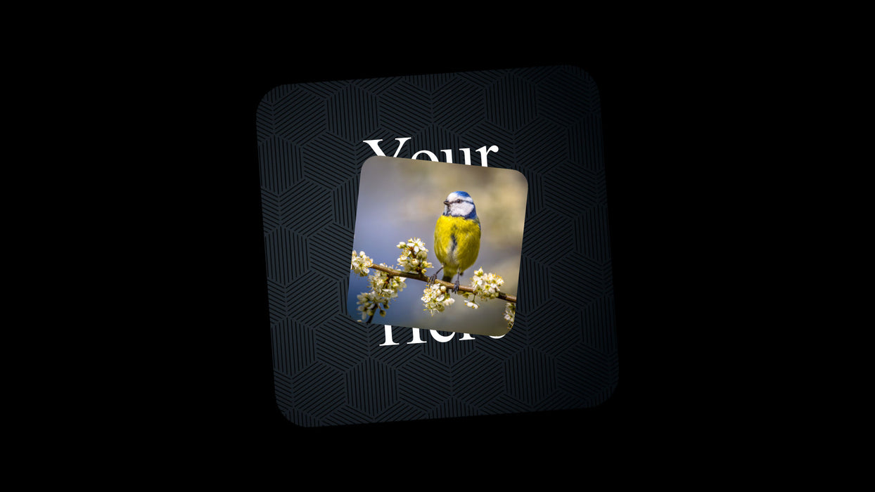 Stacked Template and Effects for Photopia