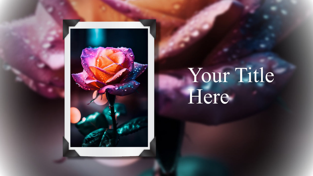 Simply Framed Template, Slide Styles, and Transitions