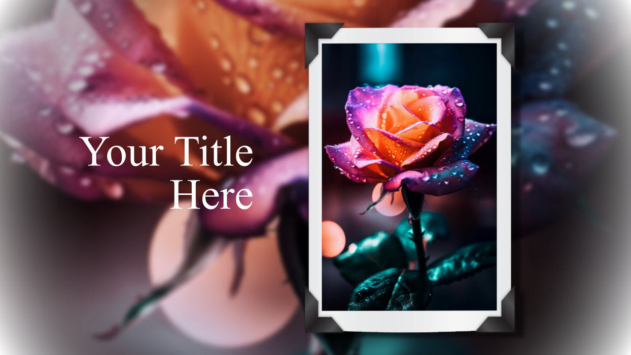 Simply Framed Template, Slide Styles, and Transitions