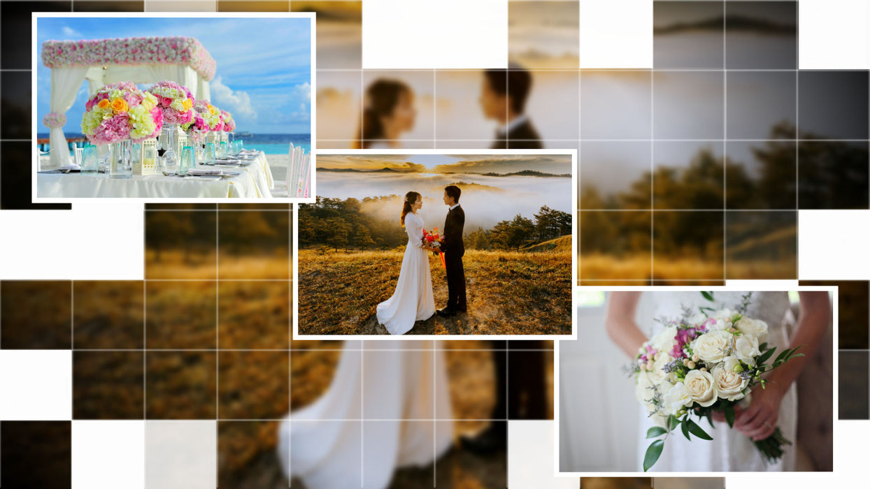 Grid Effect Pack for Photopia