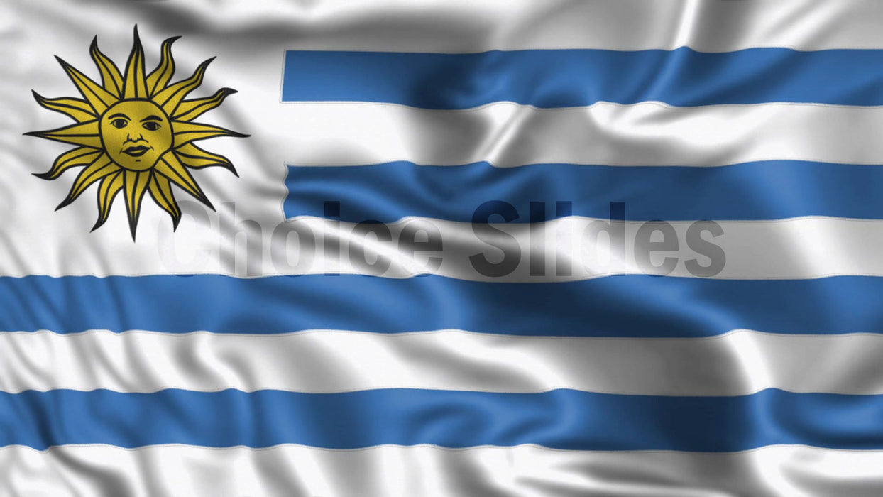 Uruguay Flag Looping Video Background