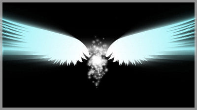 Angel Wings Blue Transition