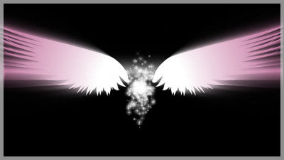 Angel Wings Pink Transition