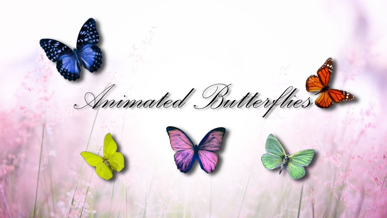 Animated Butterflies Styles and Transitions for Photopia
