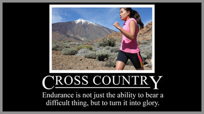 Cross Country Motivational Style