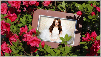 Flowers and Frames Styles and Wizard Theme for Photopia