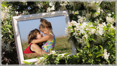 Flowers and Frames Template  and Slide Styles for Gold and Producer