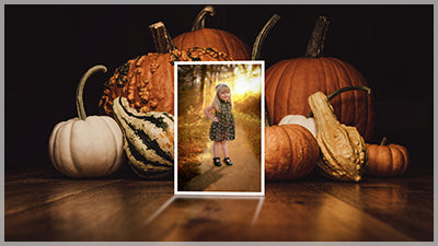 Gourd Reflection Style Pack for Photopia